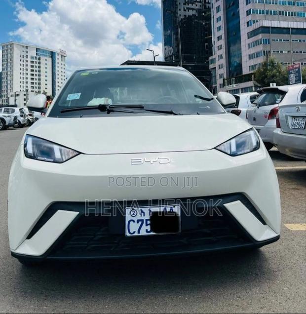 BYD Seagull 2025 White
