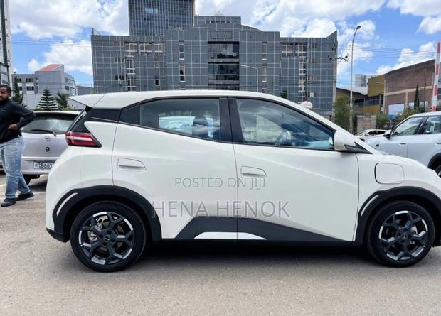BYD Seagull 2025 White