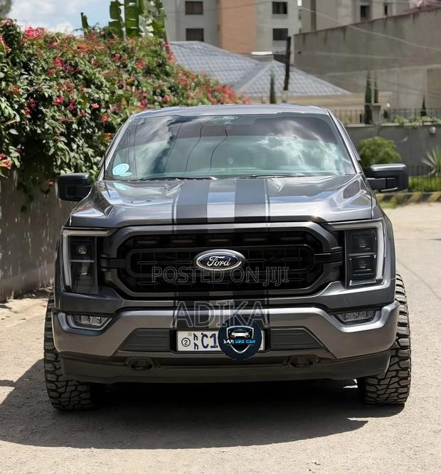Ford F-150 2022 Gray