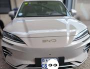 BYD Song Plus 2025 White for sale