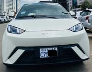 BYD Seagull 2025 White for sale