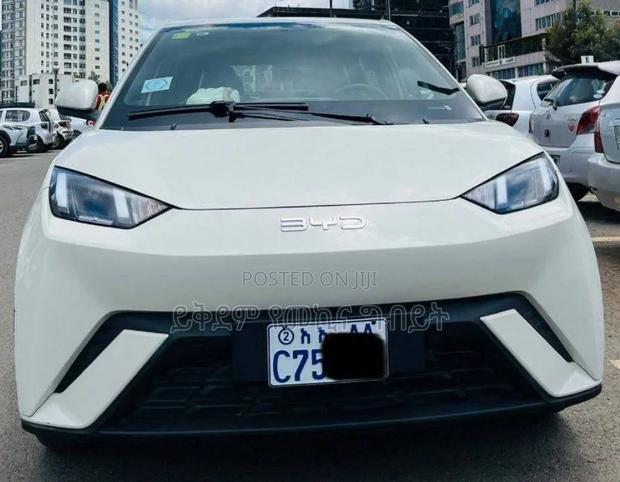 BYD Seagull 2025 White
