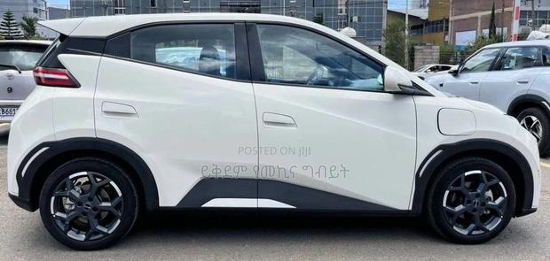 BYD Seagull 2025 White
