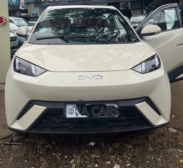 BYD Seagull 2025 White