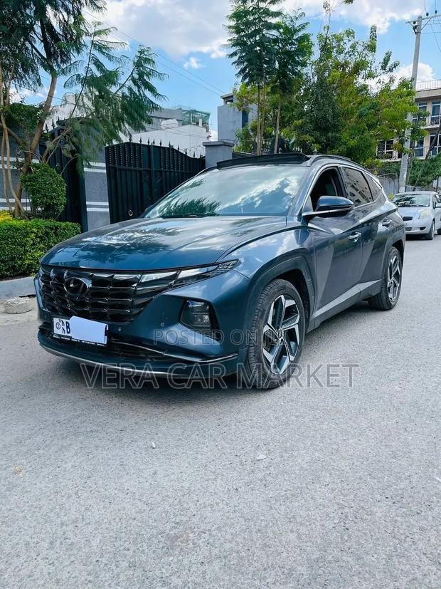 Hyundai Tucson Limited 2021 Blue