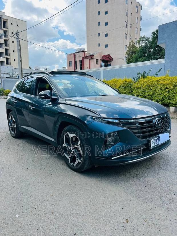 Hyundai Tucson Limited 2021 Blue