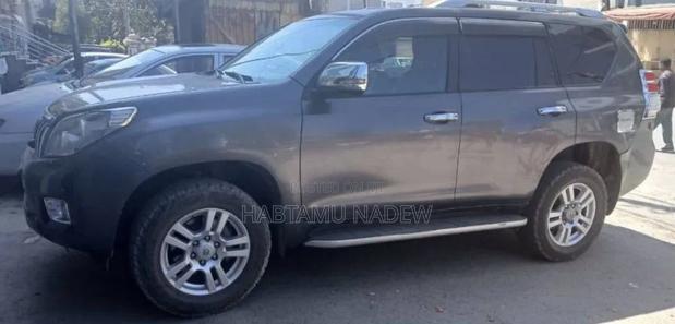 Toyota Land Cruiser 2010 Silver