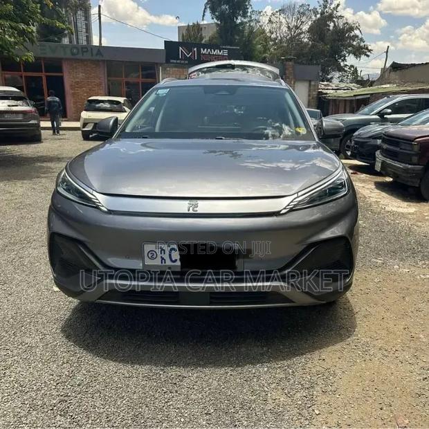 BYD Yuan Plus 2023 Gray