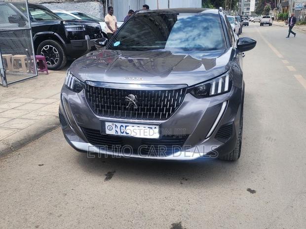 Peugeot 2008 2022 Gray