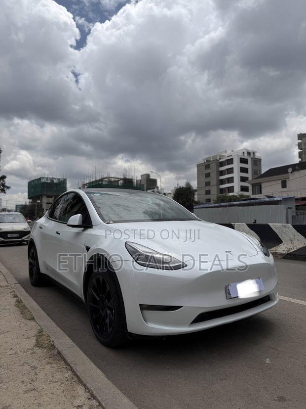 Tesla Model Y 2023 White