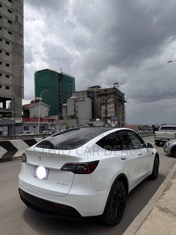 Tesla Model Y 2023 White