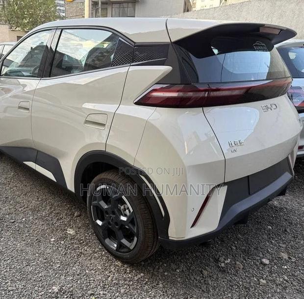 New BYD Seagull 2025 White