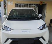 New BYD Seagull 2025 White for sale