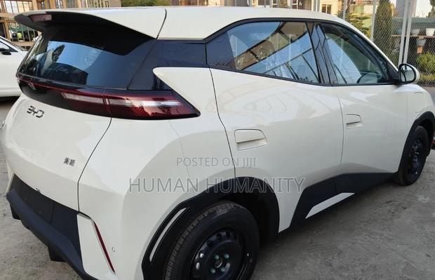 New BYD Seagull 2025 White