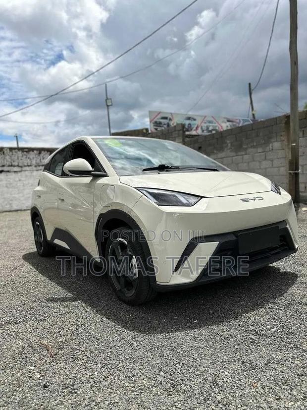 New BYD Seagull 2025 White