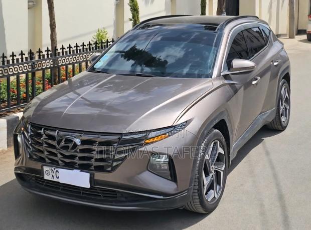 Hyundai Tucson 2022 Brown