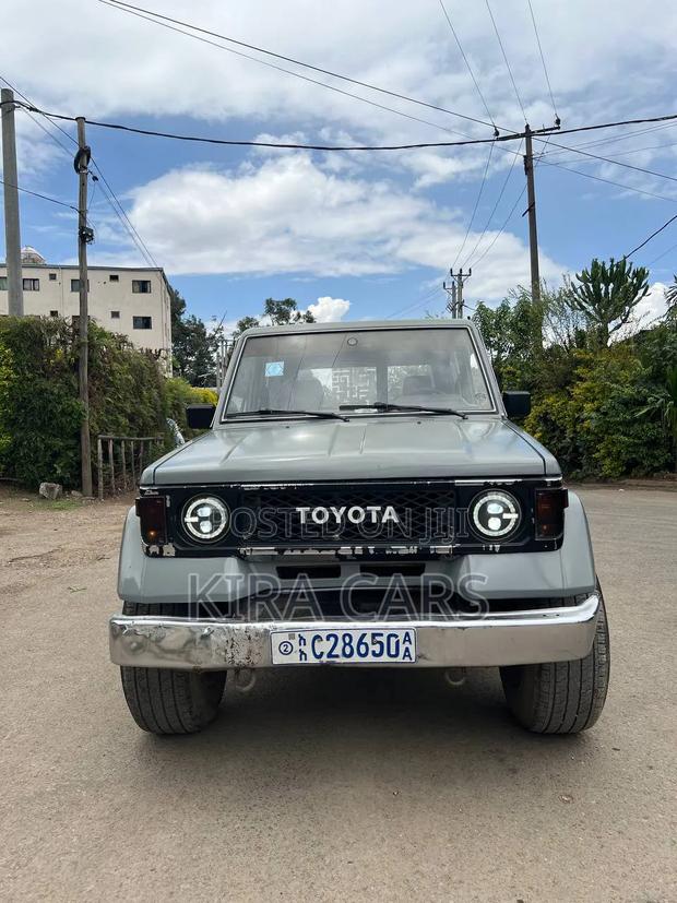 Toyota Land Cruiser 1995 Gray