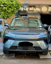 BYD Tang DM-i 2025 Green for sale