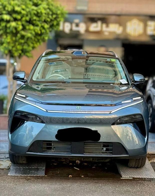 BYD Tang DM-i 2025 Green