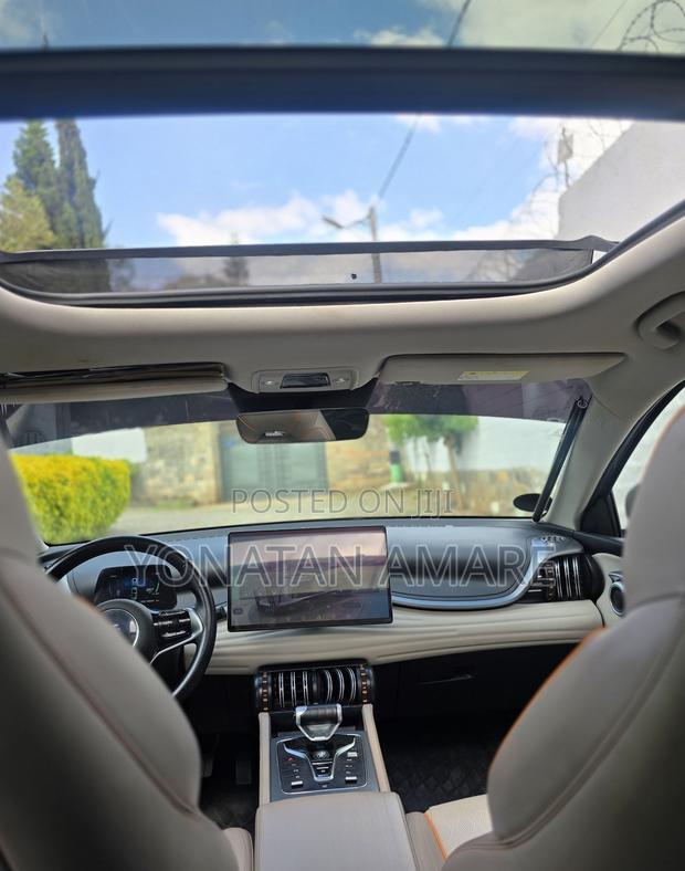 BYD Yuan Plus 2025 Gray