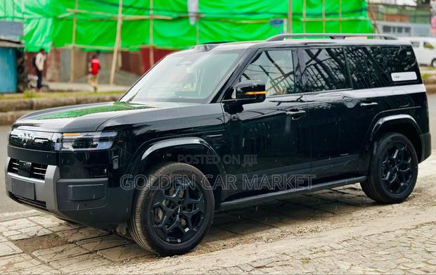 New BYD Leopard 7 2025 Black