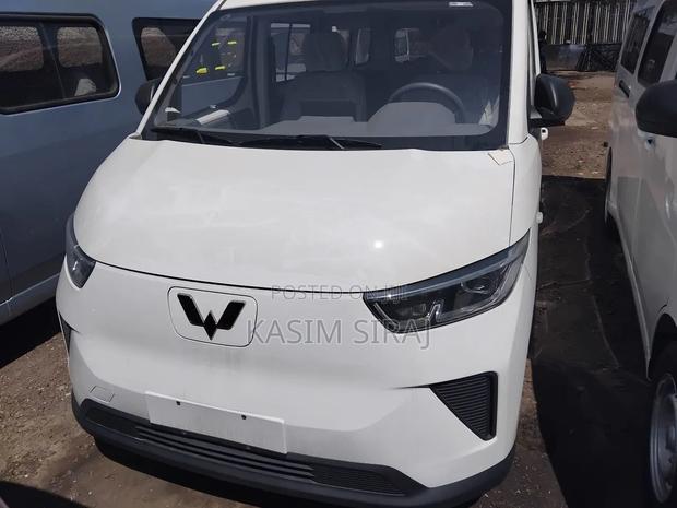 New Wuling Air EV 2025 White