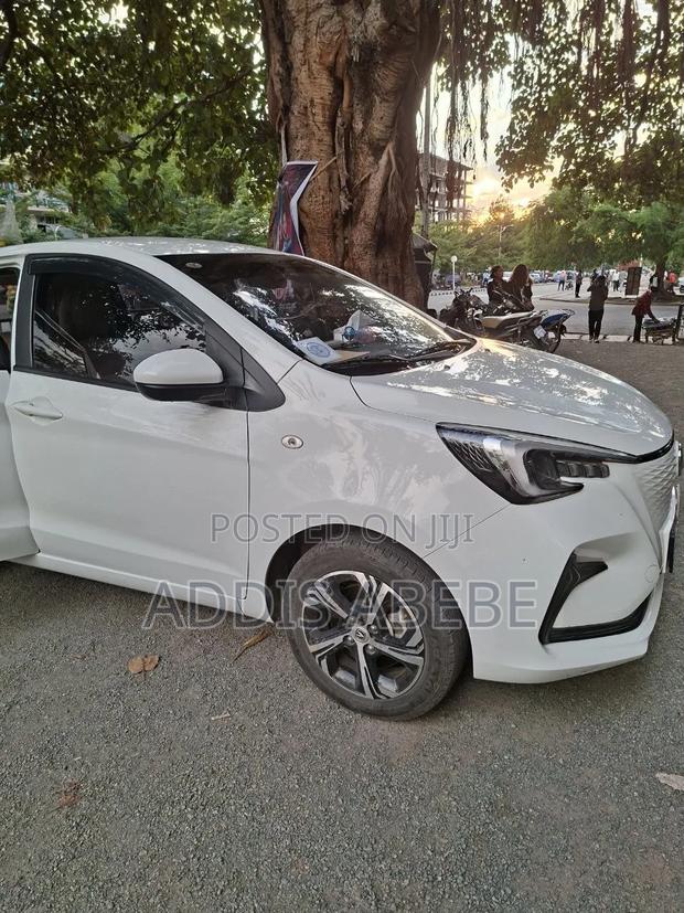 Changan BenBen E-Star 32 kWh FWD 2023 White