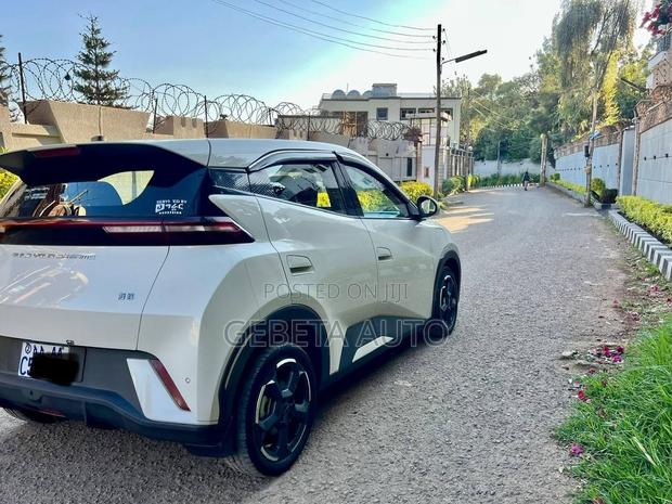 BYD Seagull 2024