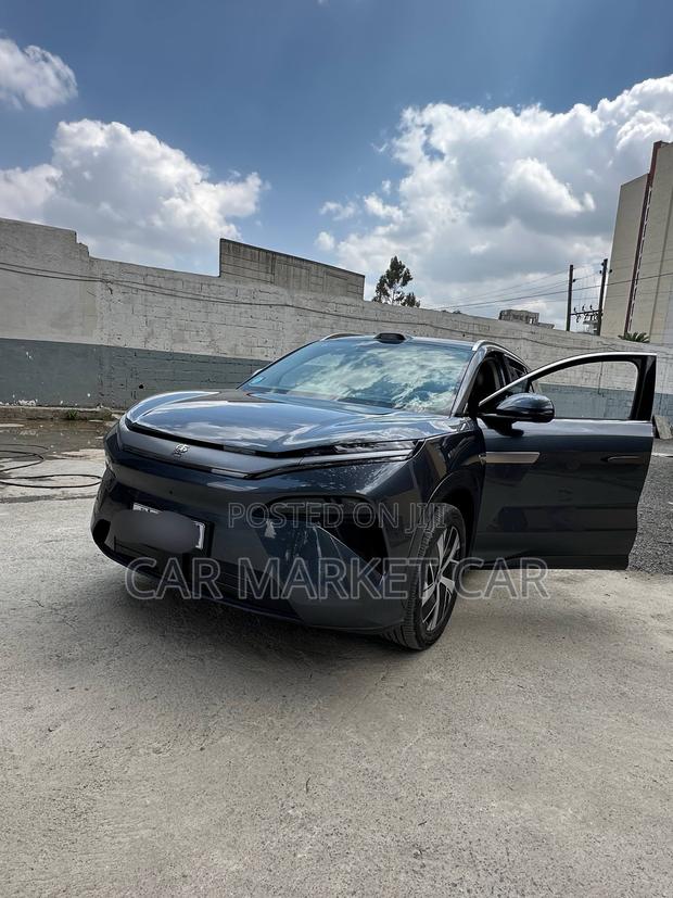 BYD Tang EV 2025 Gray