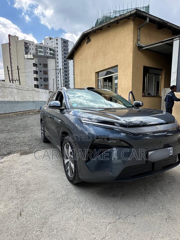 BYD Tang EV 2025 Gray