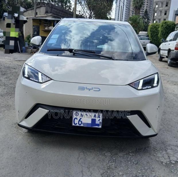 BYD Seagull 2025 White