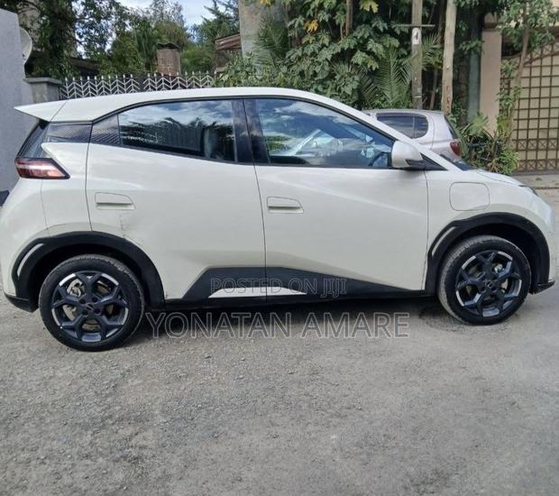 BYD Seagull 2025 White