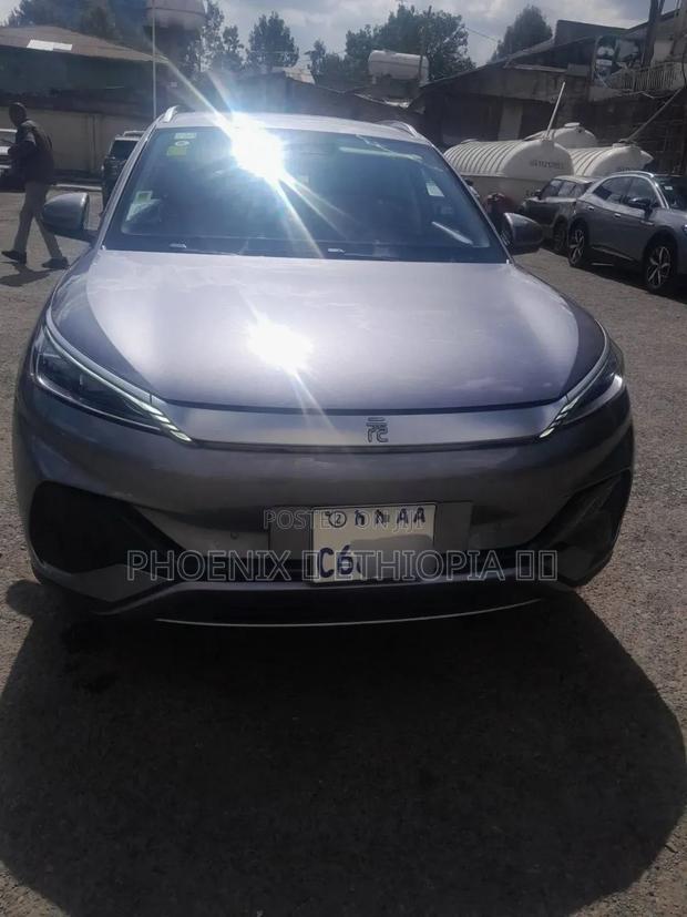 BYD Yuan Plus 2024 Gray