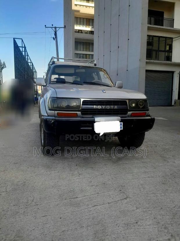 Toyota Land Cruiser 1993 Gray