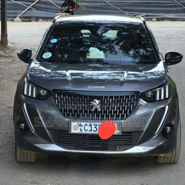 Peugeot 2008 2022 Silver