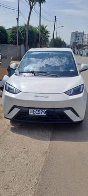 BYD Seagull 2024 Black for sale