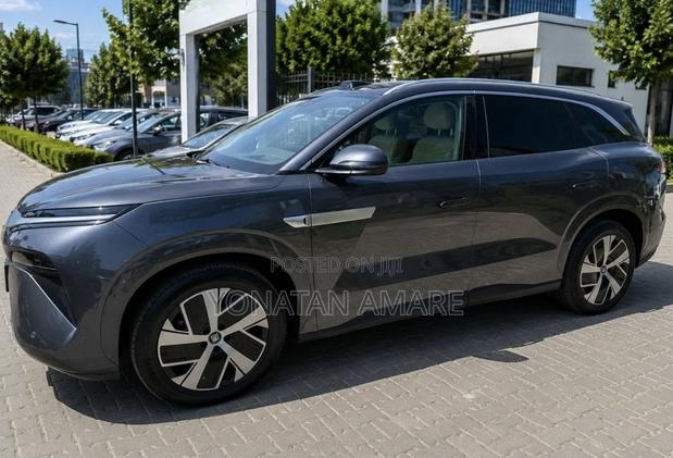 BYD Tang EV 2025 Gray