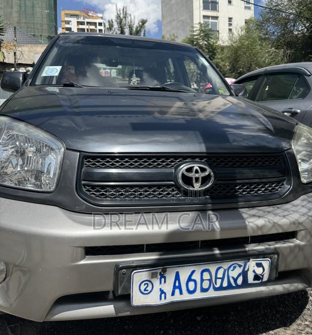 Toyota RAV4 2004 Gray