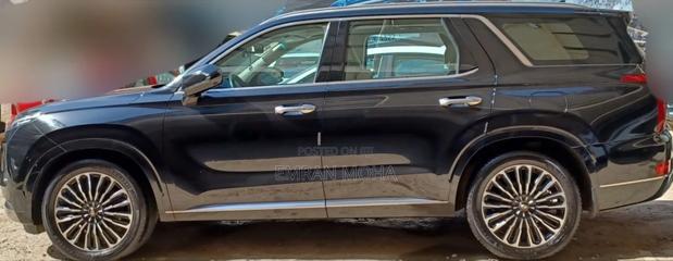 Hyundai Palisade 2023 Black