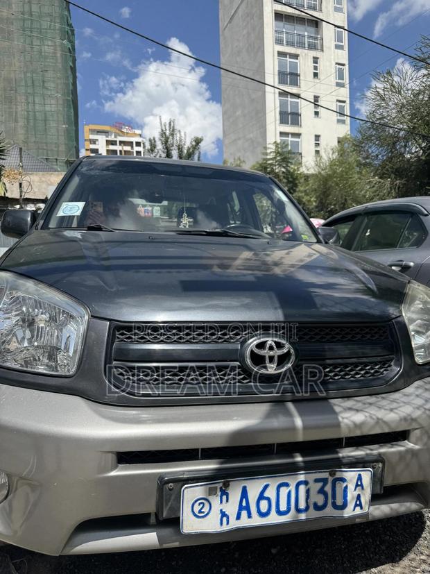 Toyota RAV4 2004 Gray