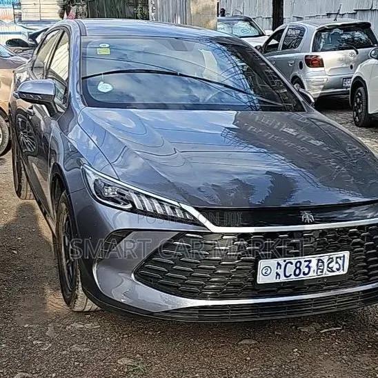 BYD Qin Plus DM-i 2025 Gray