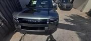 New BYD Leopard 7 2025 Green for sale