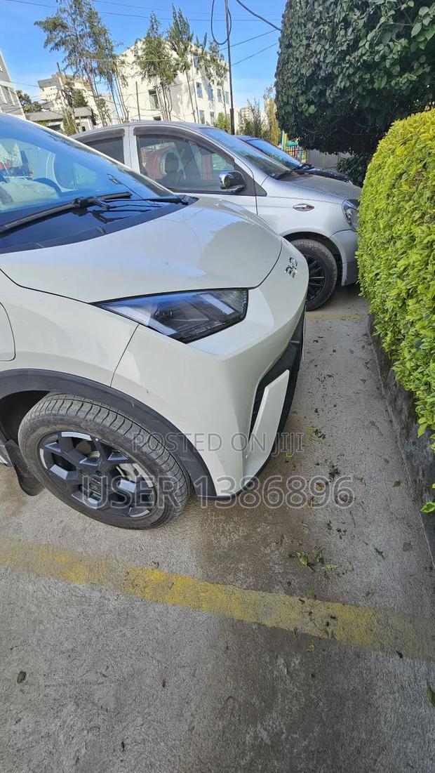 BYD Leopard 5 2025 White