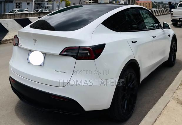 Tesla Model Y 2023 White
