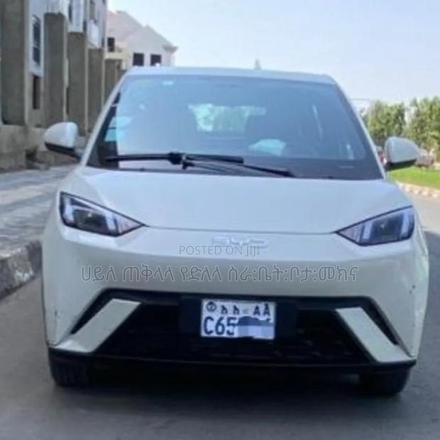 BYD Seagull 2025 White