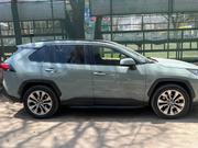 Toyota RAV4 2019 Green for sale