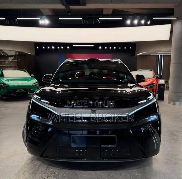 New BYD Tang EV 2025 Black