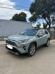 Toyota RAV4 TRD Off Road 2021 Gray for sale