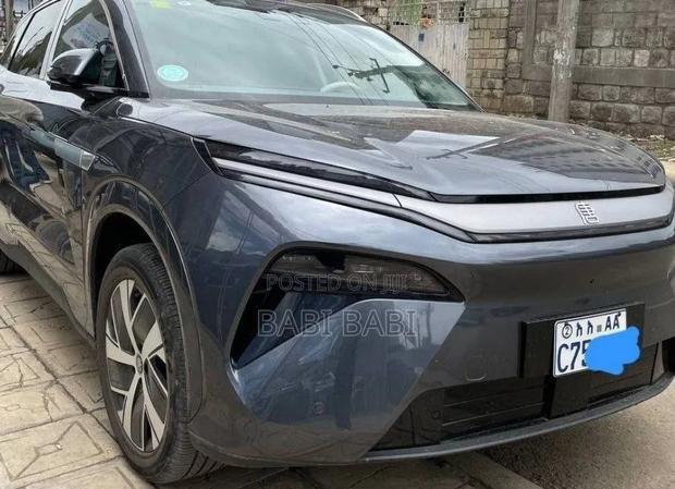 BYD Tang EV 2025 Gray
