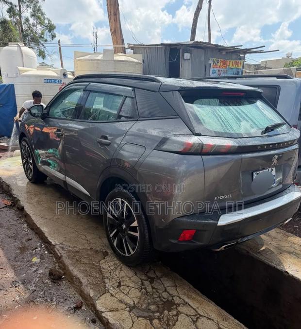 Peugeot 2008 2022 Gray